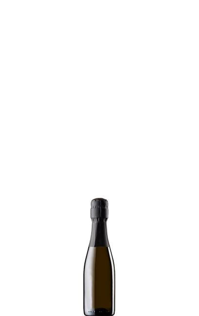 0,2 l