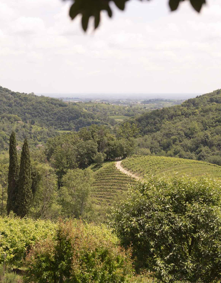 Il nostro territorio